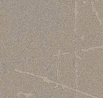 Ковровая плитка Milliken Arctic Survey shk 121-48 True North фото 1 | FLOORDEALER